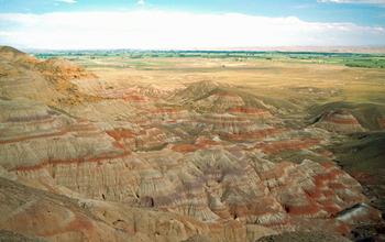 Banded Sedimentary Rocks in the Willwood Formation, Wyoming
