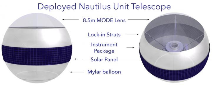 Nautilus Labeled