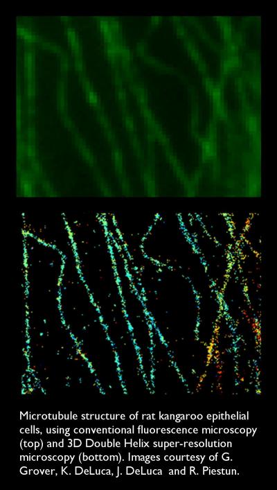 3-D Super-Resolution Microscopy