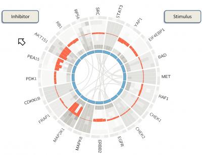 BioWheel (2 of 2)