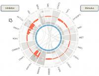 BioWheel (2 of 2)