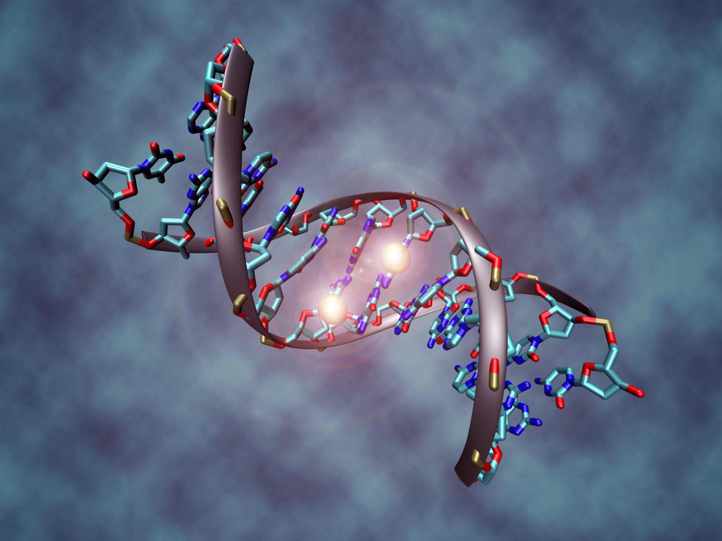Methylated DNA Molecule