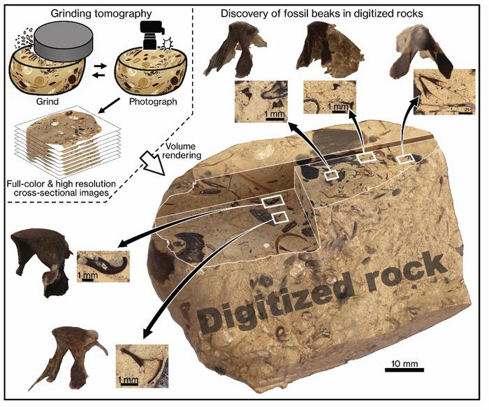 The digital fossil-mining method