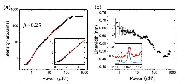 Lasing behaviour of the corner state