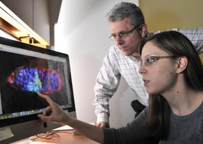 Linking a Tumor Suppressor Gene to Stem Cells