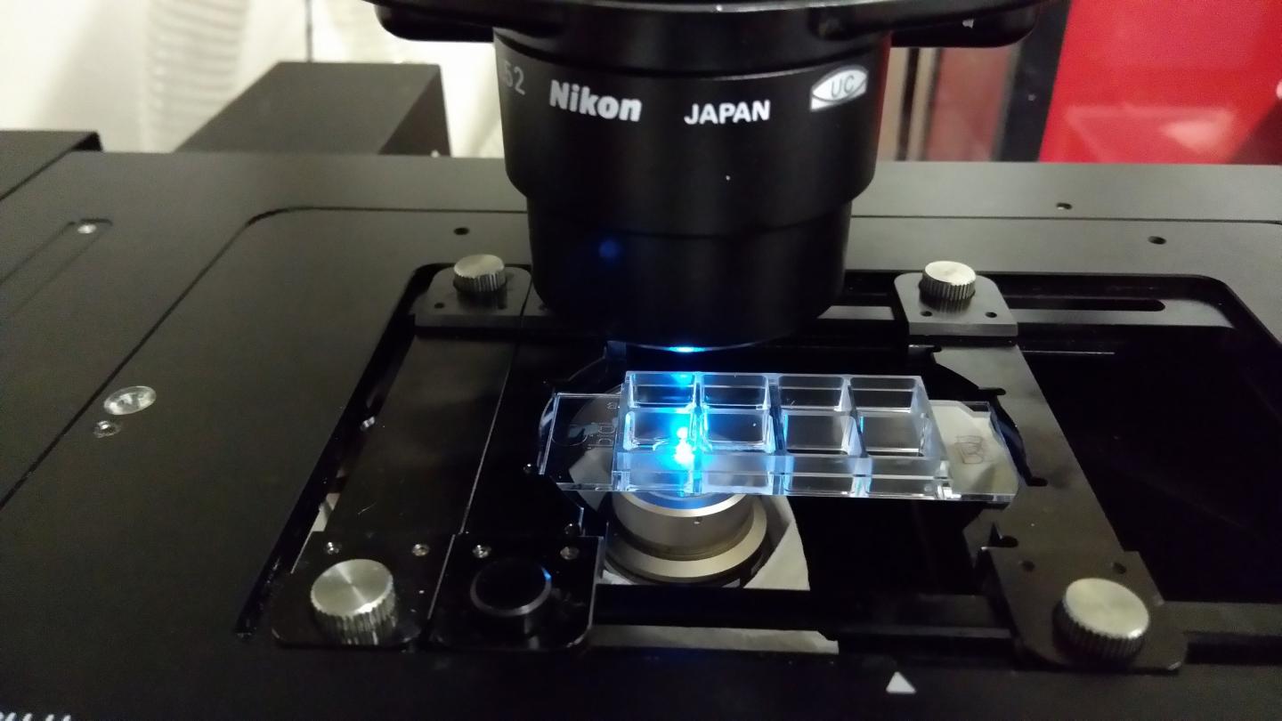Fluorescence Microscope