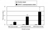 Improved Tag Productivity by cm<Em>GPAT1</em> Overexpression