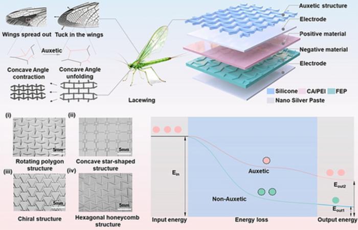 Bio-inspired auxetic metastructures enable ultra-efficient self-powered sensing with biomechanically adapted machine learning