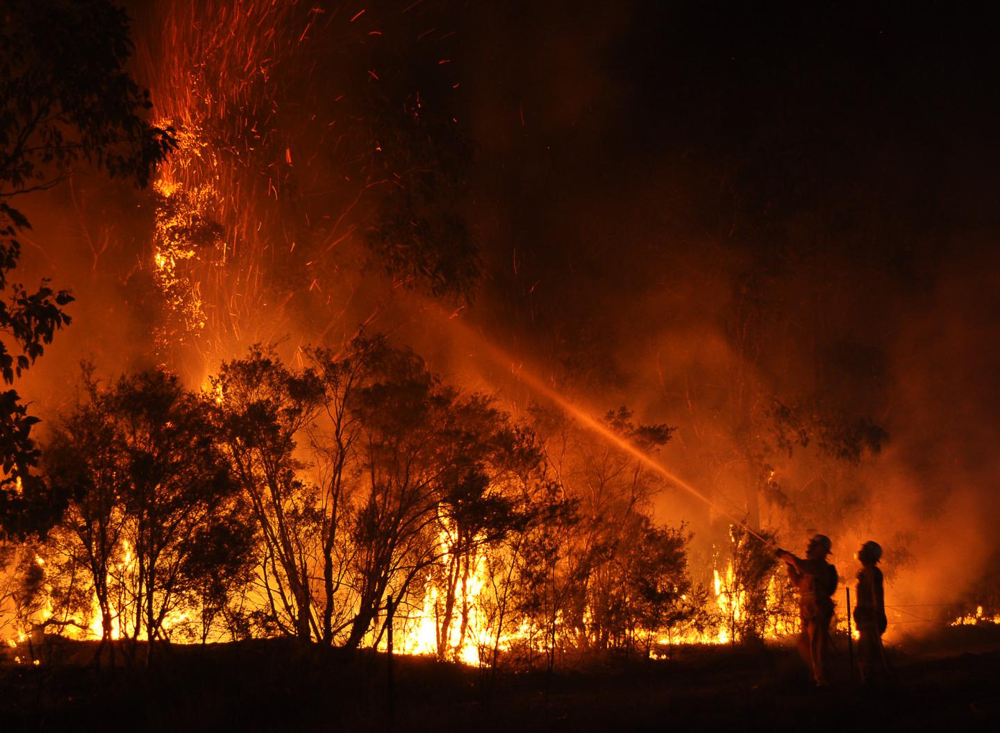 Wildfire