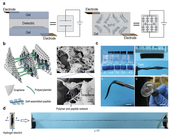 Design, characterization and mechanical properties of SHARK