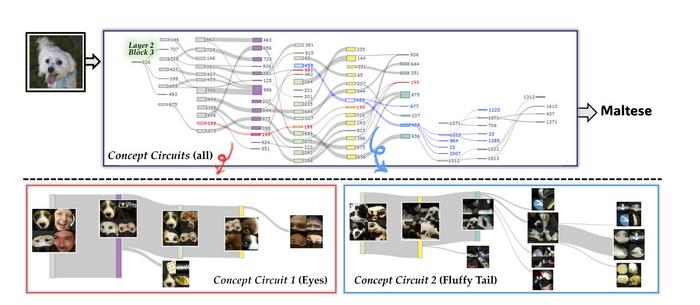 How Does AI Think? KAIST Achieves First Visualization of the Internal Structure Behind AI Decision-Making​