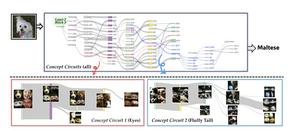 How Does AI Think? KAIST Achieves First Visualization of the Internal Structure Behind AI Decision-Making​