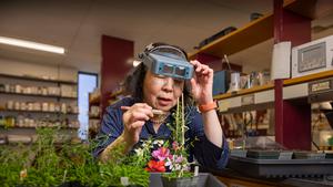 UMass Amherst Distinguished Professor of Biochemistry and Molecular Biology Alice Cheung