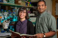 Laura Hale and Sreekanth Chalasani, Salk Communications 