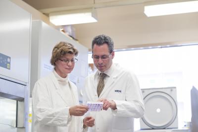 Professor Geoff Lindeman, Professor Jane Visvader, Walter and Eliza Hall Institute