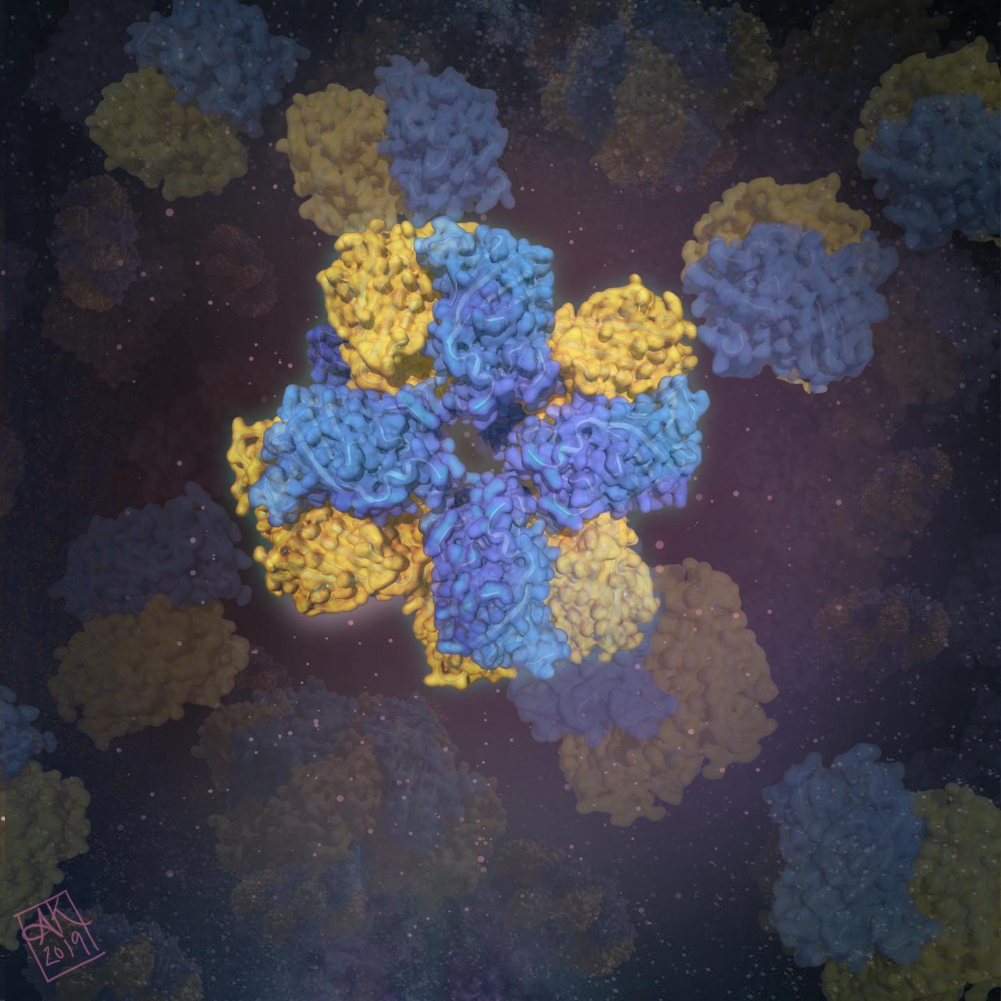 Army Scientists Lead the Way to Produce Tools for Engineering Biomolecules