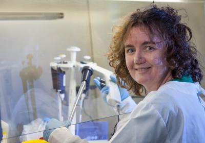 Sonya Marshall-Gradisnik, Griffith University