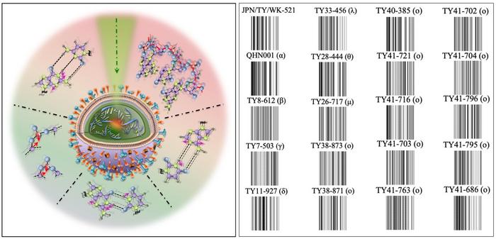 A New Step Forward in Raman Genomics