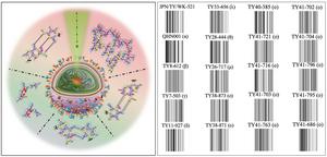 A New Step Forward in Raman Genomics