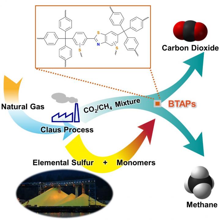 A Schematic Image of Direct Utilization of Elemental Sulfur