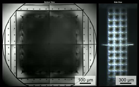 Push to Twist: Achieving the Classically Impossible in Human-made Material (1 of 1)