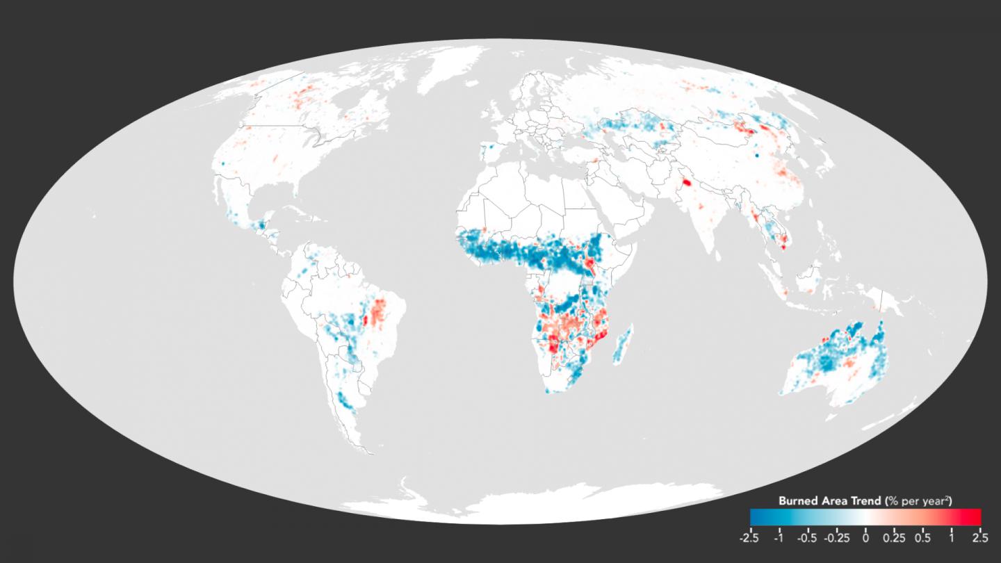 Globally Burned Each Year