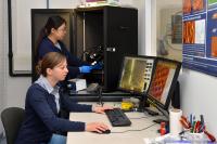 STM-Lab