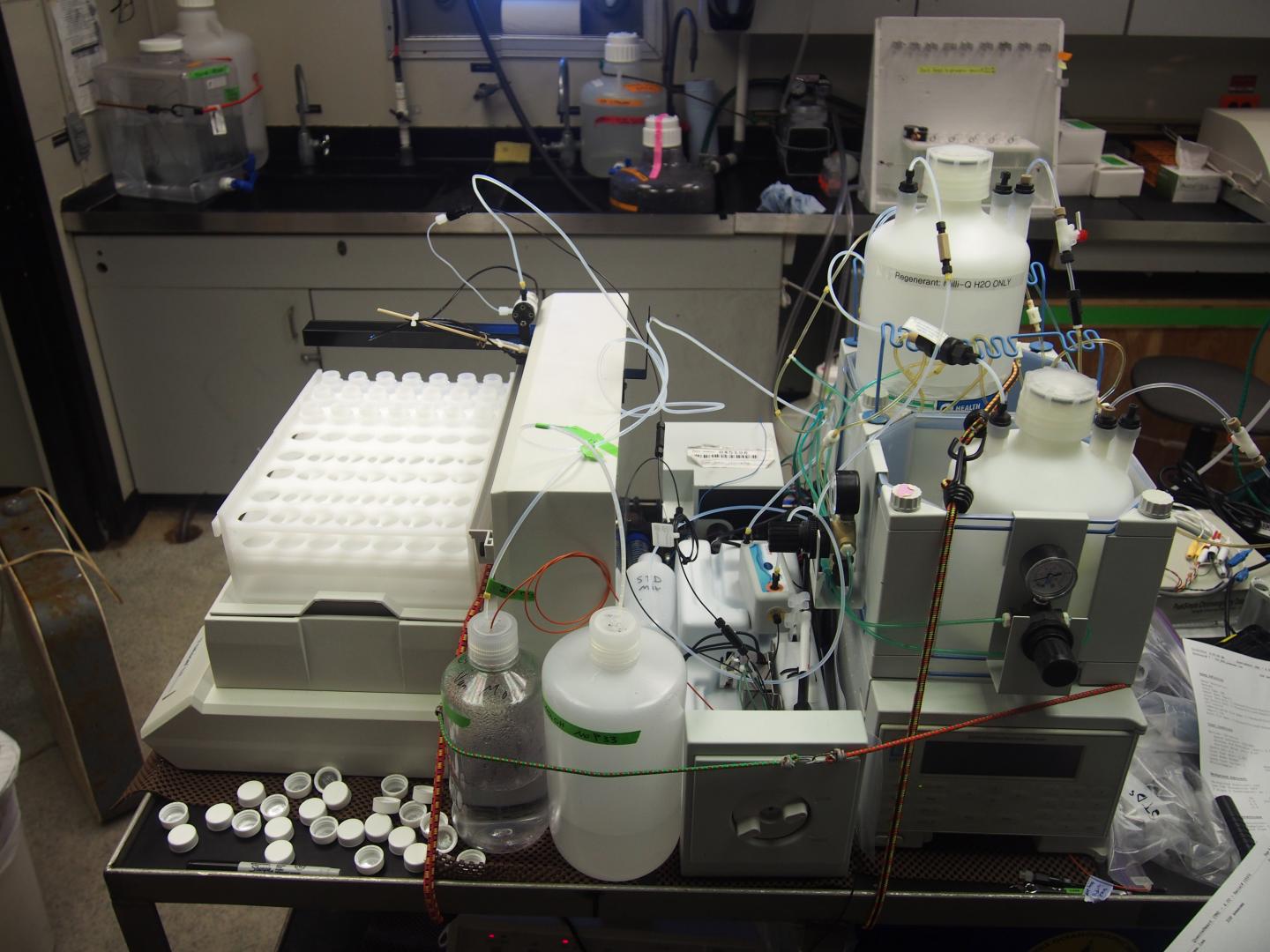 Plankton Play Major Role in Ocean's Phosphate Cycling (3 of 3)