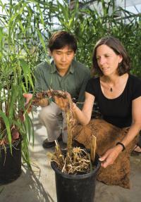 George Chuck and Sarah Hake, DOE/Lawrence Berkeley National Laboratory