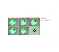 Image Examples of a Sucking Process