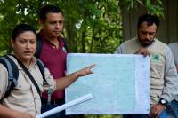 Efforts to Eliminate Illegal Cattle Ranching