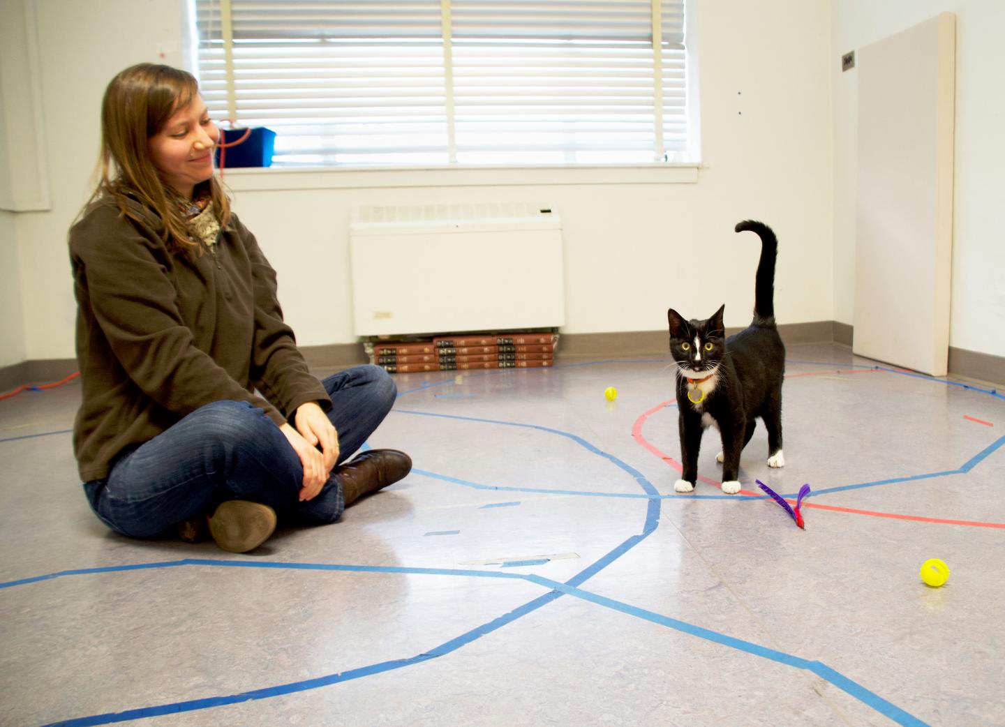 Cat Secure Attachment