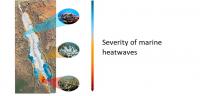 Severity of Marine Heatwaves -- a Map of the Red Sea