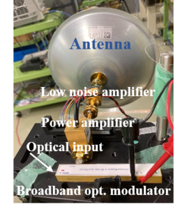 Figure 2 (IMAGE)