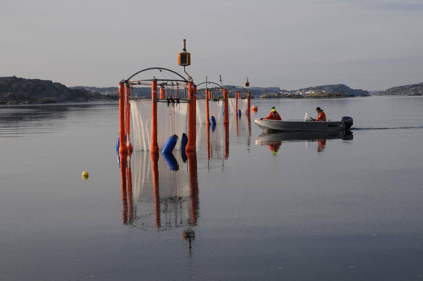 Is the Ocean More Resilient to Acidification Than We Thought? (6 of 7)