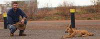 Dr Thomas Newsome with dingo.