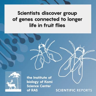 E(Z) Longer Life -- New Insights on Genes Linked to Longer Life