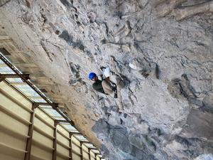 Carnegie Quarry