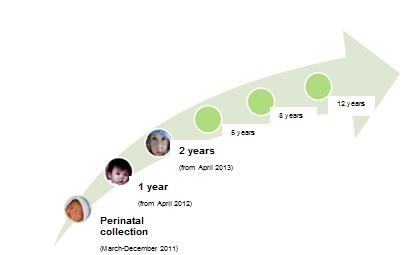 Next Steps