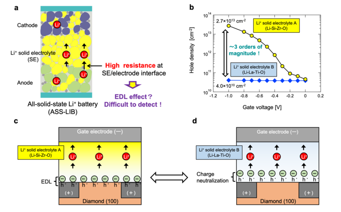 Probing the electric double layer (EDL) effect using diamond-based FETs