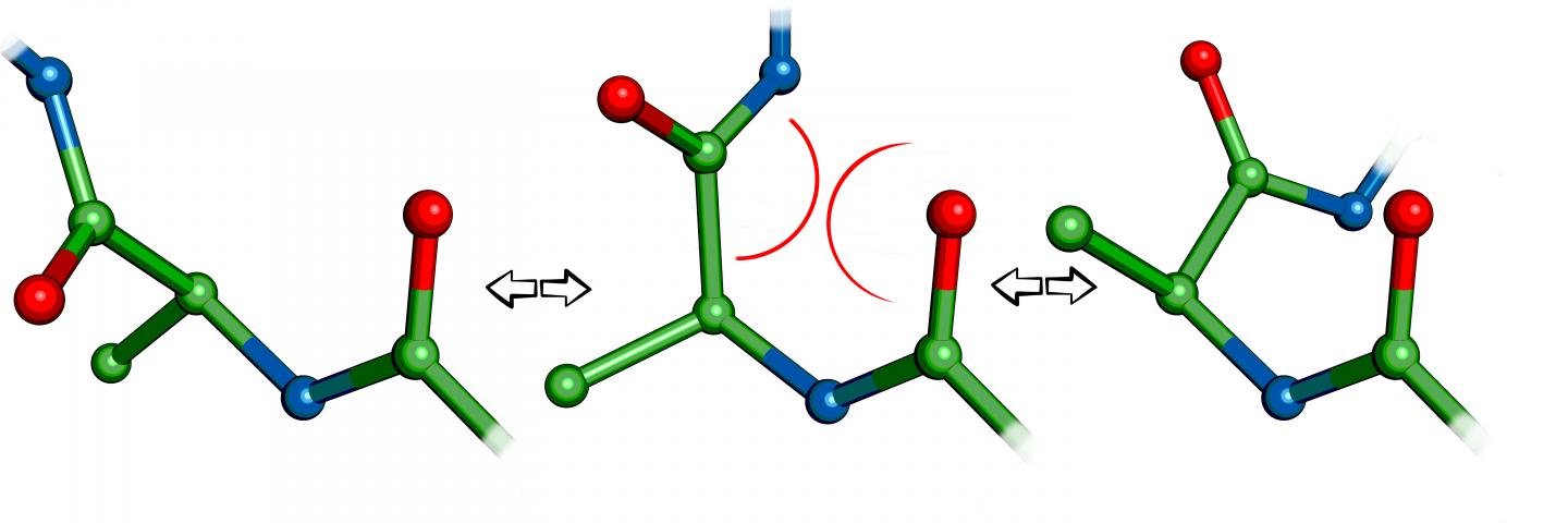 Protein Structural Changes
