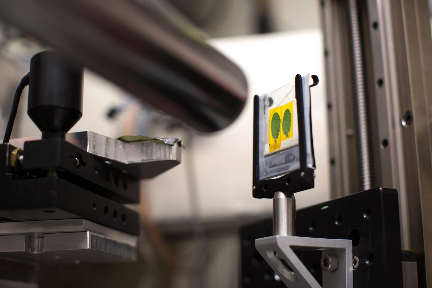 X-ray Beam Line Testing