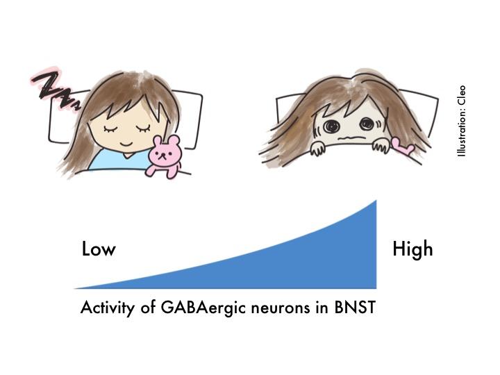 The Secret Connection Between Anxiety And Sleep