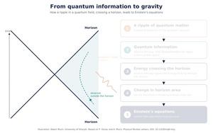 Information and gravity