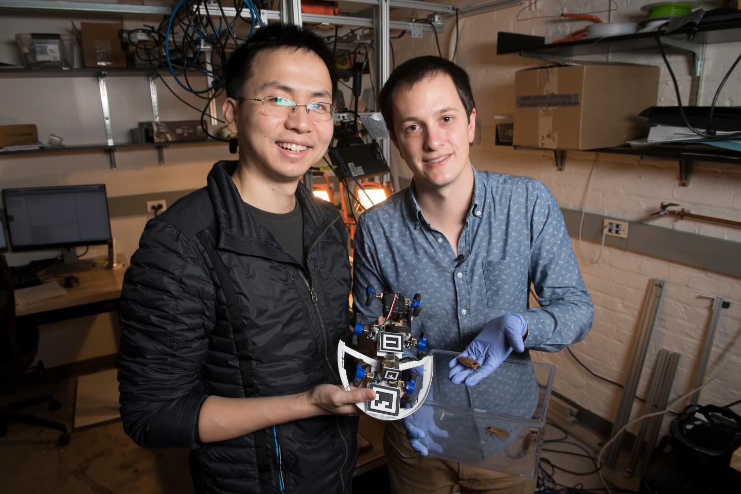 Researchers, Roach and Robot