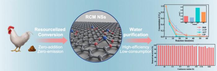 Fast elimination of emerging contaminates in complicated water environment medium over the resource conversion product of chicken manure biochar triggered by peroxymonosulfate