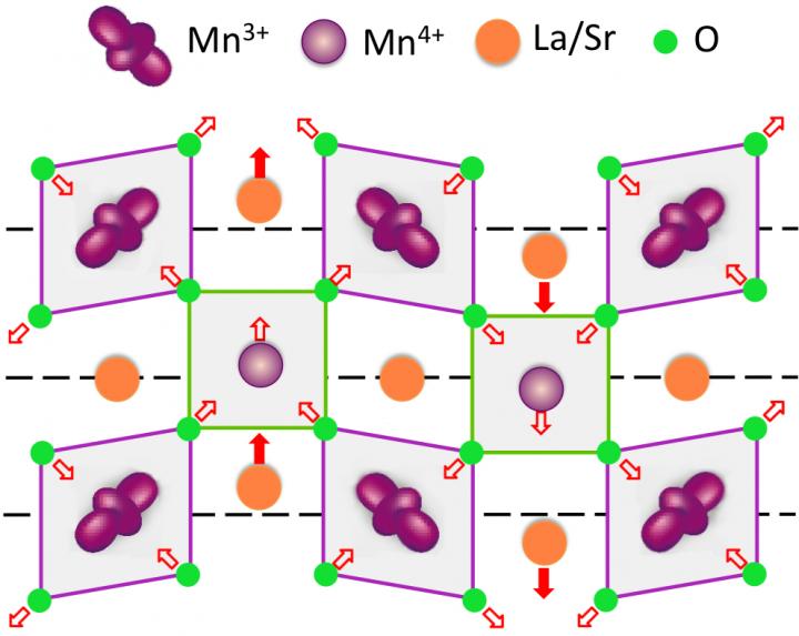 Key Findings: Evidence of Polarons