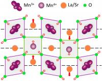 Key Findings: Evidence of Polarons