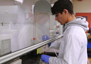 Students Analyzing Samples