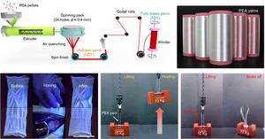 [2] Evaluation of Ironing behavior and mechanical properties of melt-spun fibers for eco-friendly apparel and industrial applications
